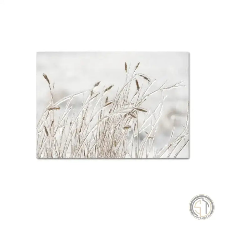 Tableau Coiffe Indienne indien ✓ nature