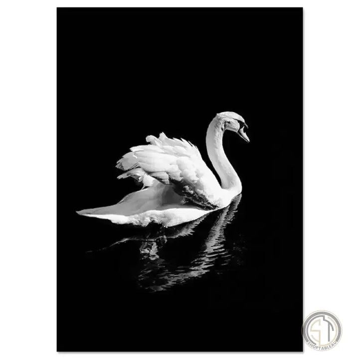 Tableau Noir et Blanc