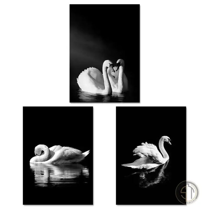 Toile Cygne