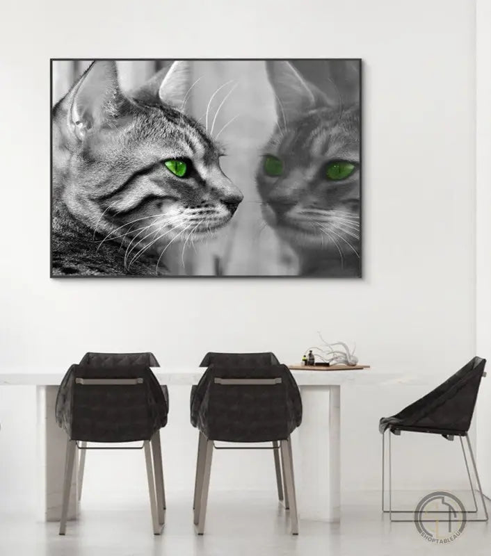 Chat Noir et Blanc