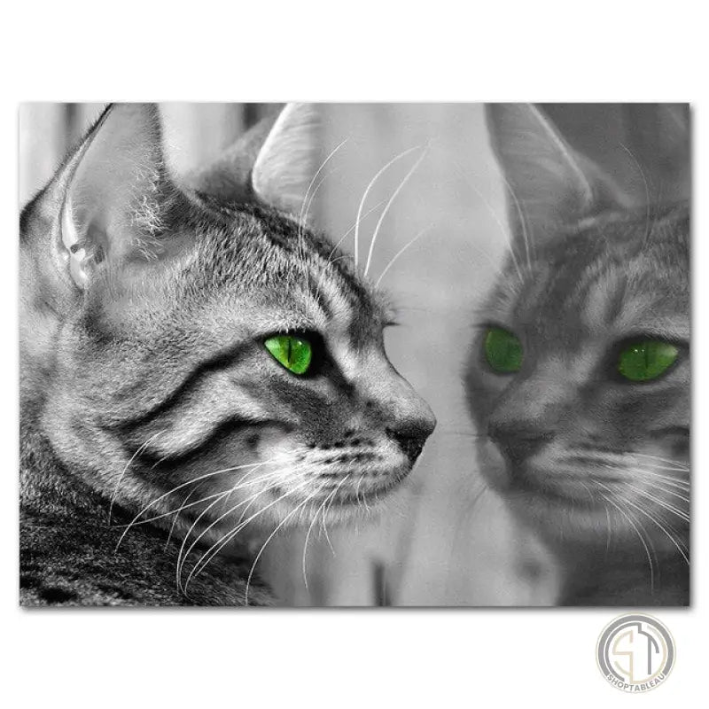 Toile Chat Noir et Blanc