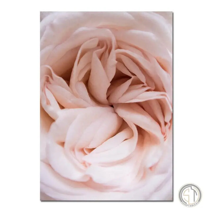 Tableau rose Fleur