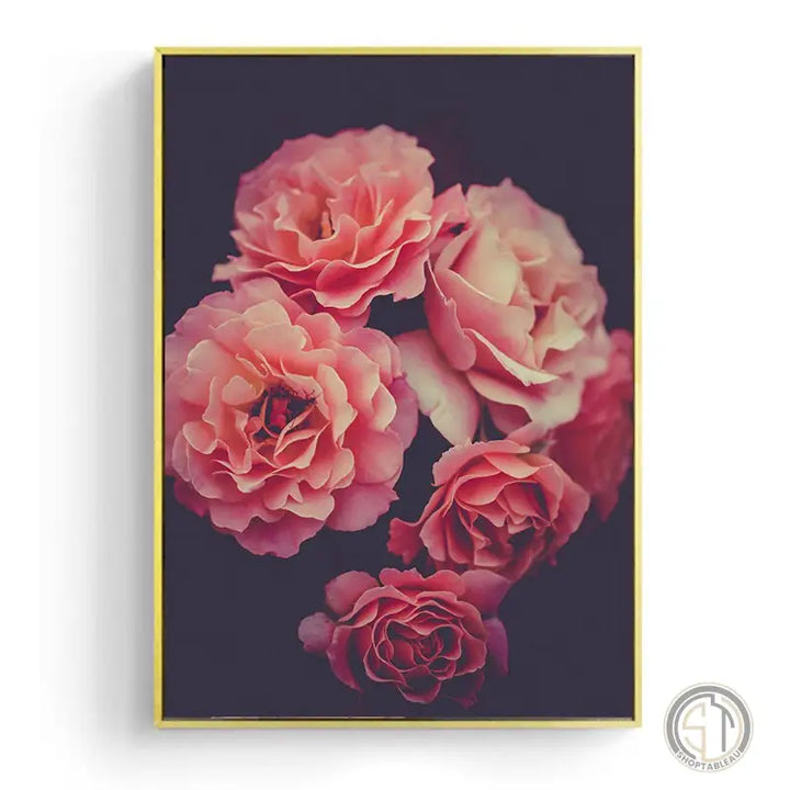 toile rose