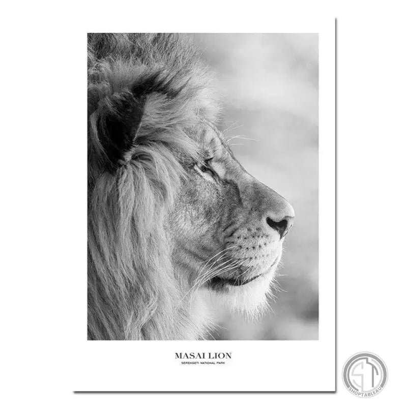 Tête de lion photo