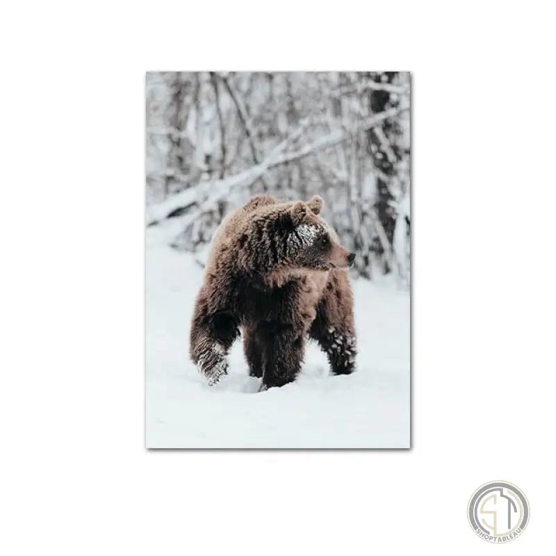 Tableau Grizzli