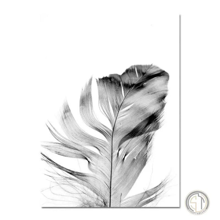 Tableau Photo Animaux Noir et Blanc