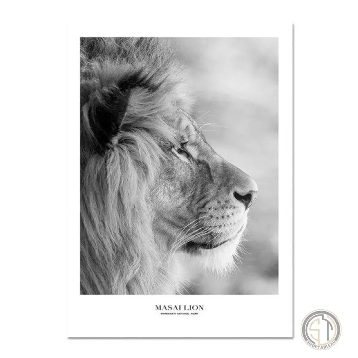 Tableau Photo Animaux
