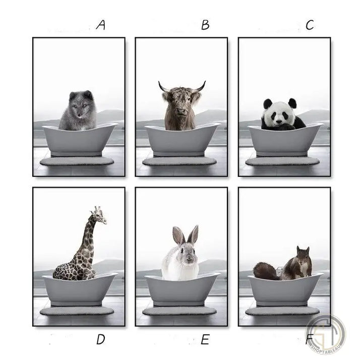 Tableau Photo Animaux Noir et Blanc