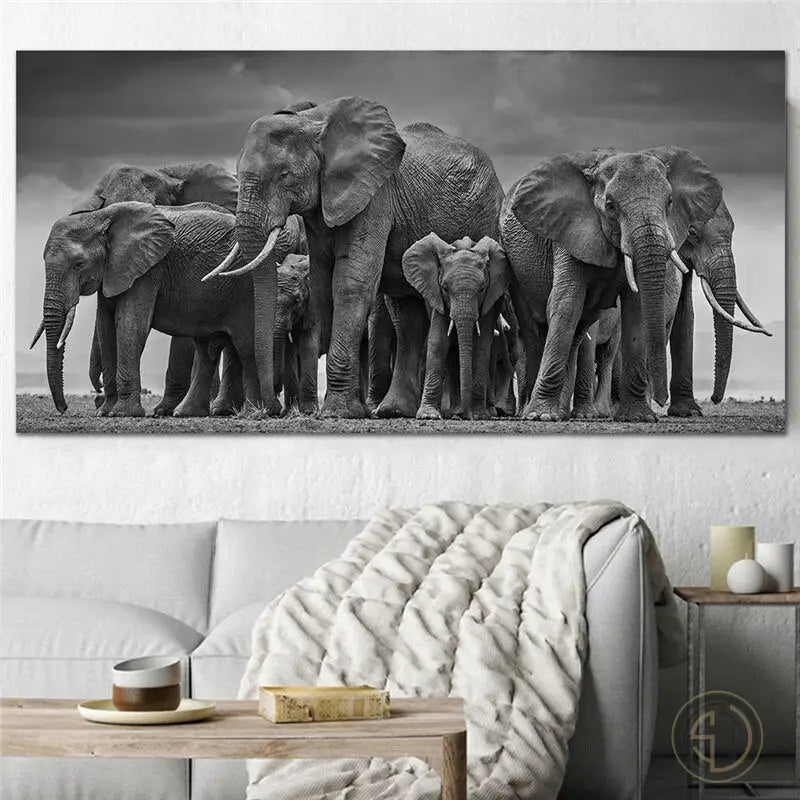 Tableau Photo éléphant