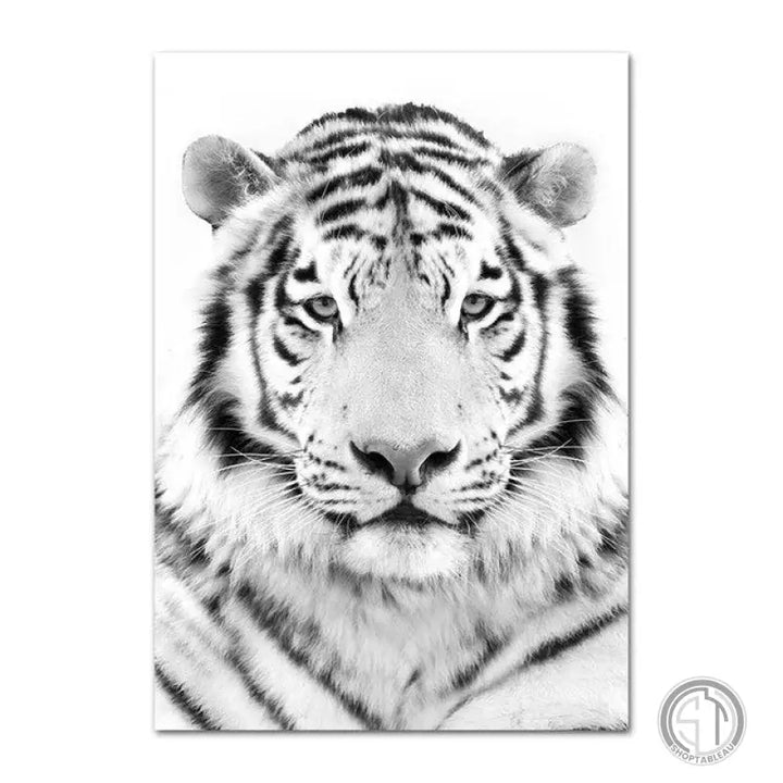 Tableau Tigre Blanc Animaux ✓ nature ✓ Noir et