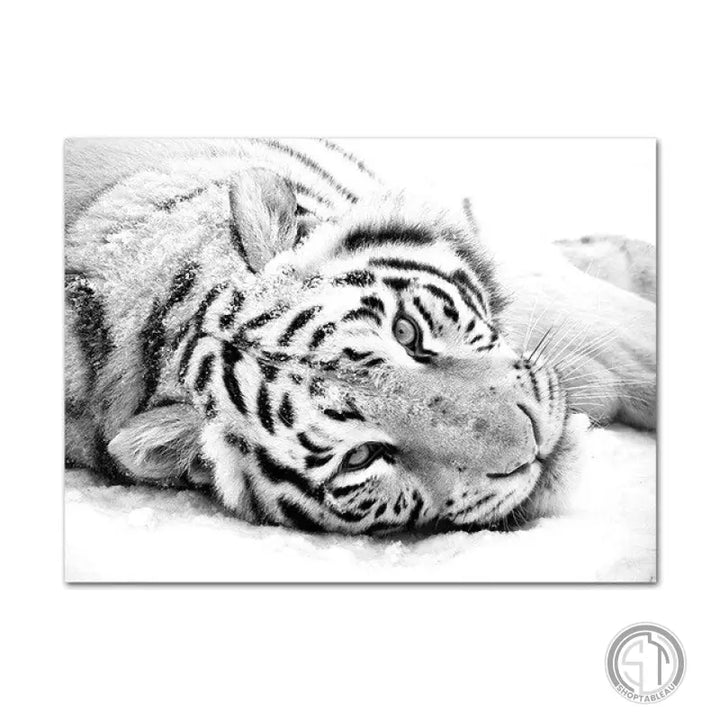 Toile Tête de Tigre