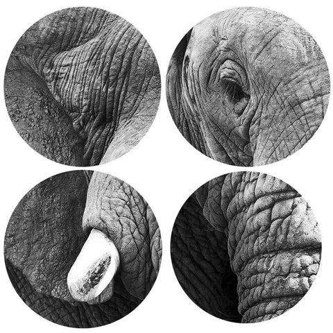 tableau éléphant
