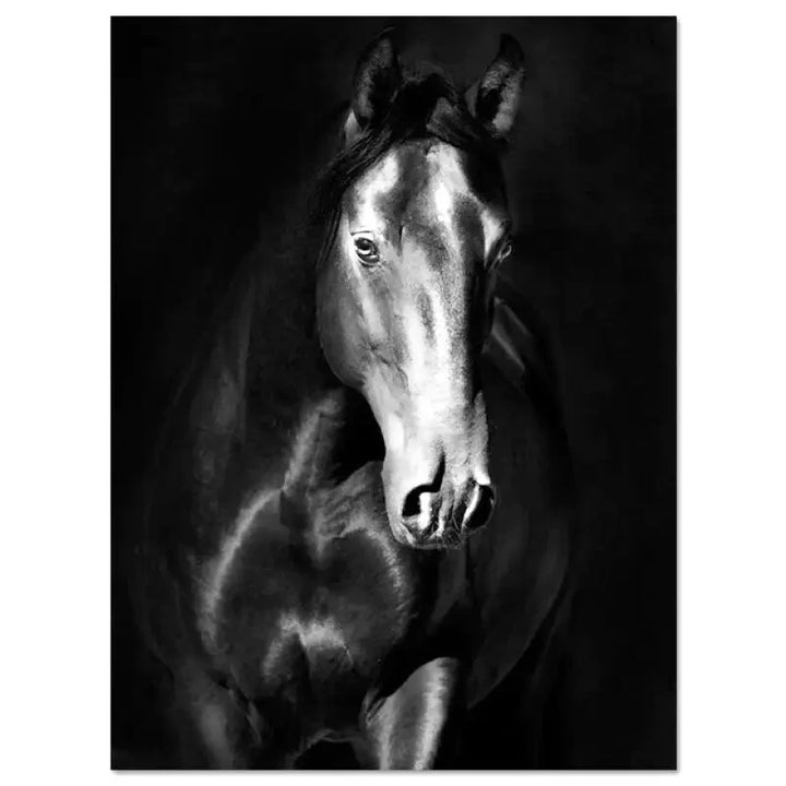 Toile cheval noir
