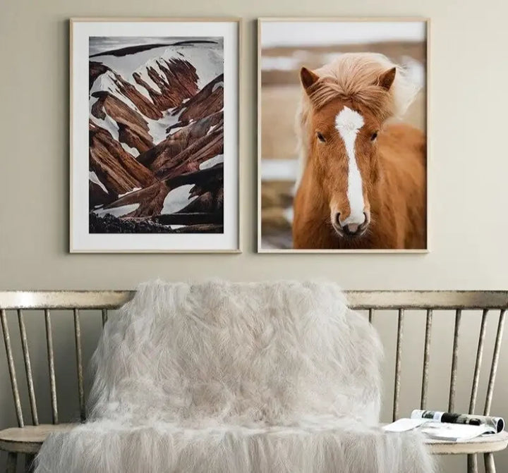Tableau Cheval Nature