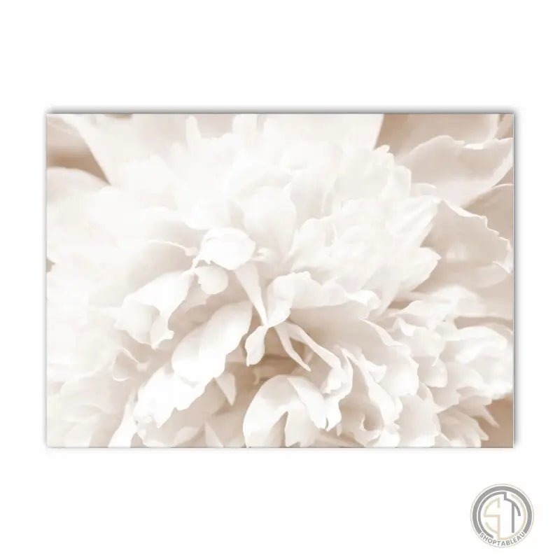 Tableau Fleurs Blanches