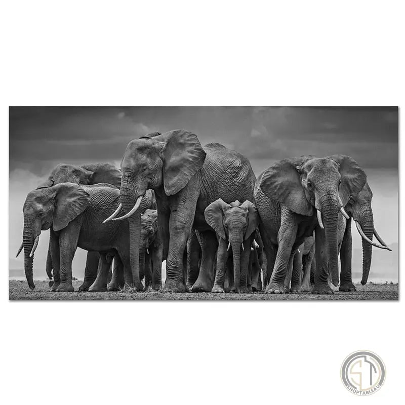 tableau photo elephant