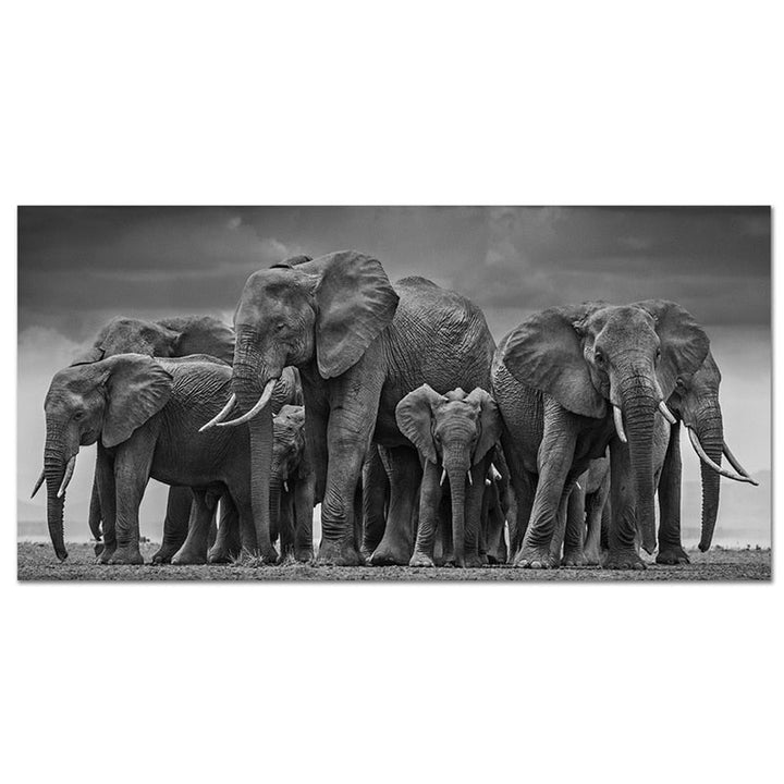 tableau photo elephant