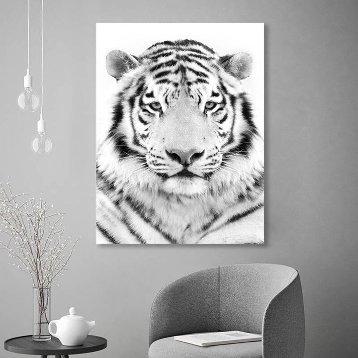 Tableau Tigre Blanc Animaux ✓ nature ✓ Noir et